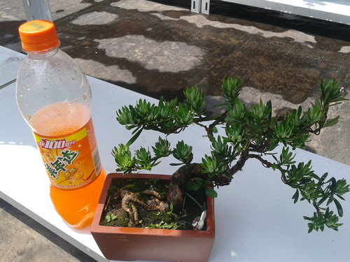 2013-06-05 13.08.32.jpg