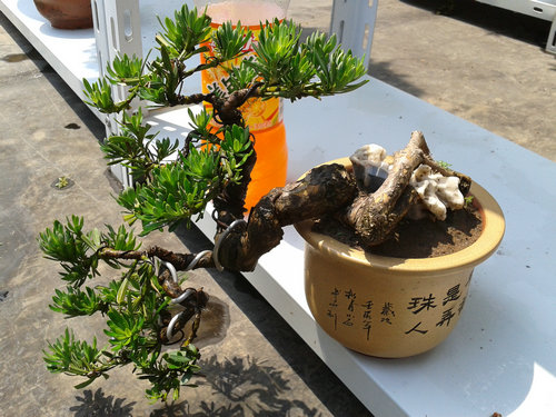 2013-06-05 13.24.45.jpg