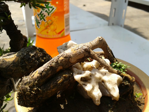 2013-06-05 13.25.02.jpg