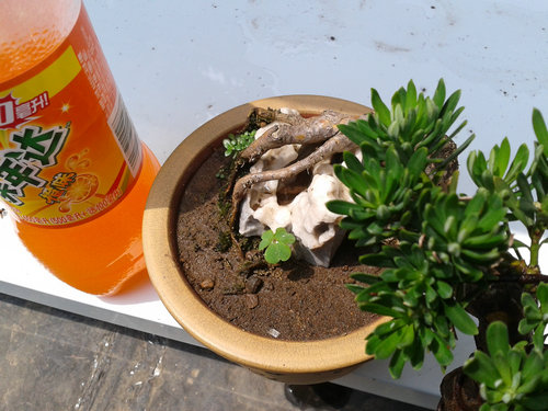 2013-06-05 13.23.56.jpg