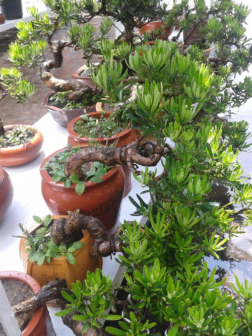 2013-06-05 13.01.37.jpg