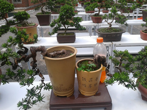 2013-06-05 13.11.45.jpg