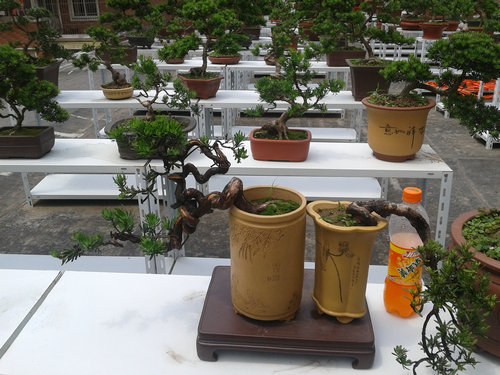 2013-06-05 13.12.12.jpg