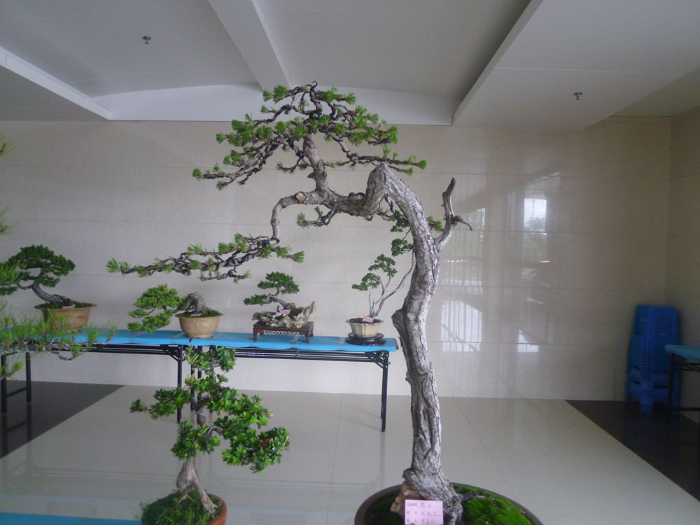 P1030365_.jpg