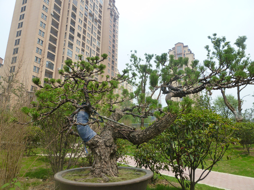 P1030395_.jpg