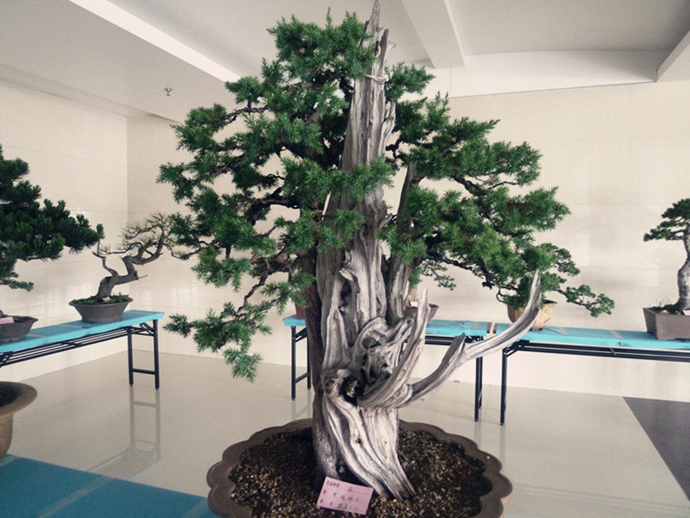 P1030363_.jpg