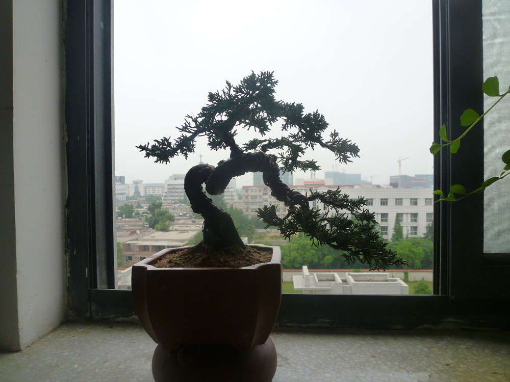 P1030398_.jpg