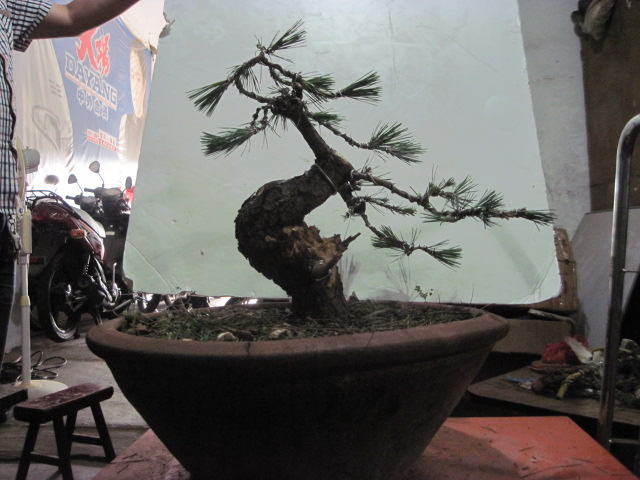0605 004.jpg