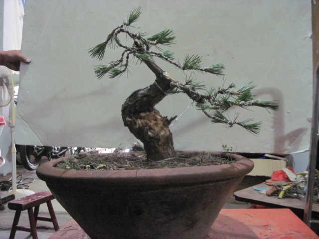 0605 005.jpg