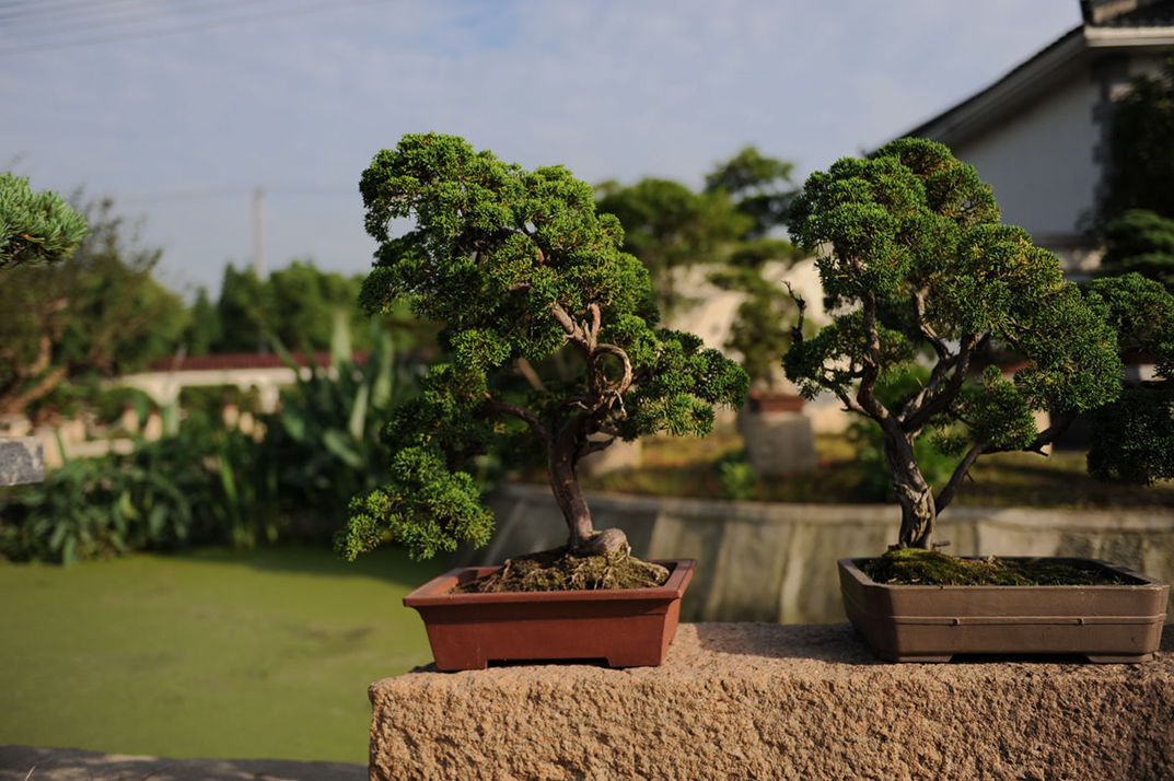 DSC_0451__.jpg
