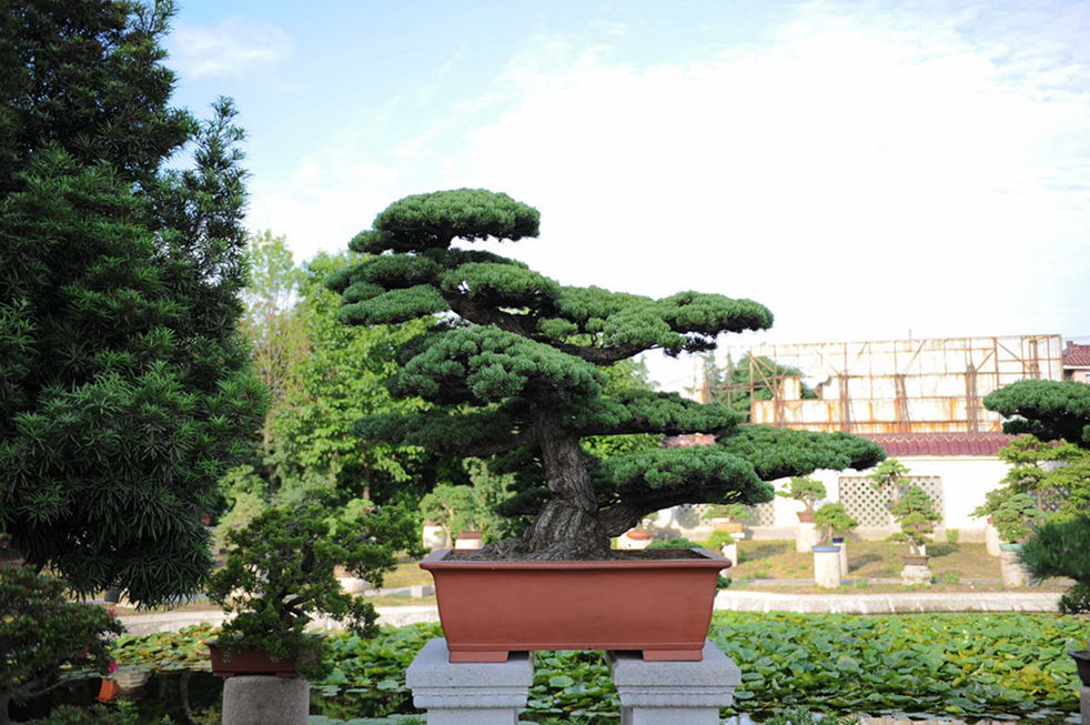 DSC_0479__.jpg