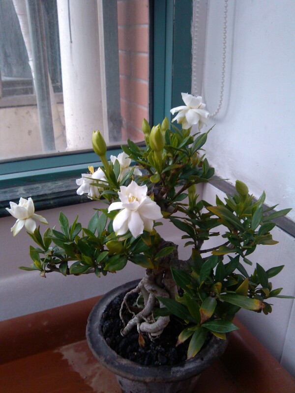 IMG20130606180045.jpg