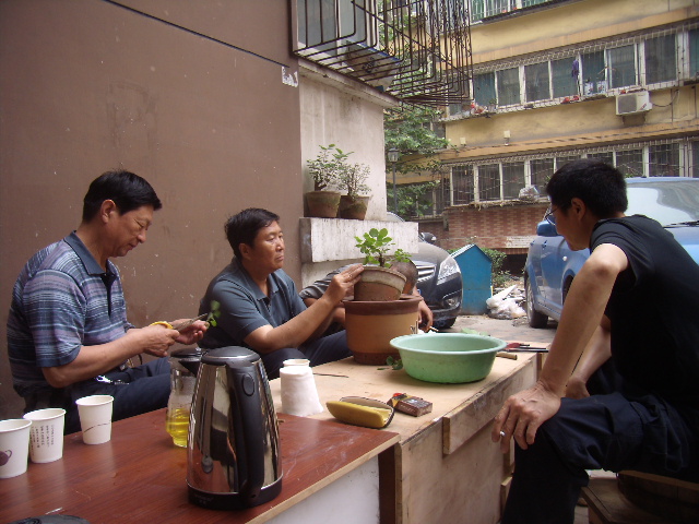 P6060007.JPG