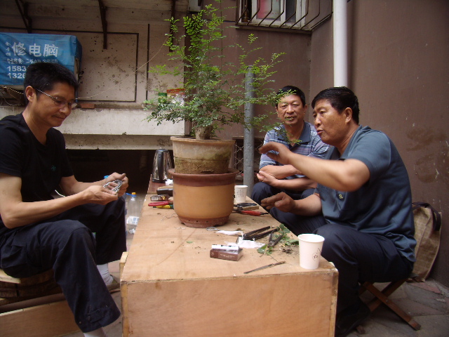 P6060026.JPG
