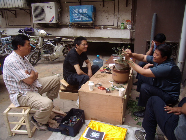P6060032.JPG