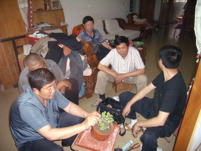 P6060043.JPG