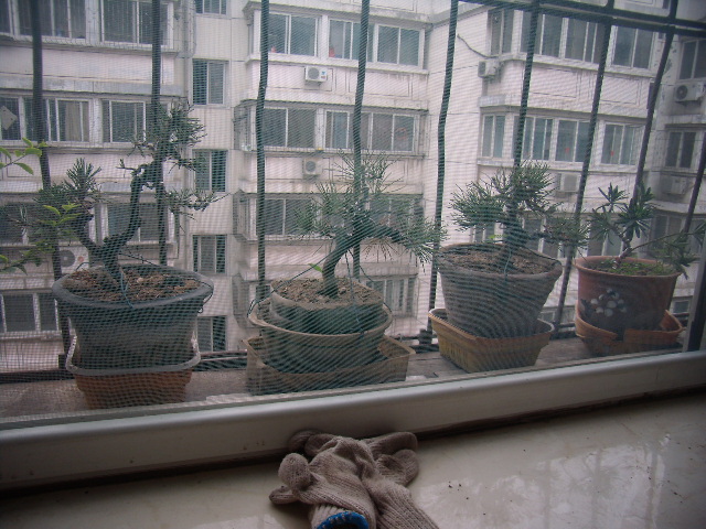 P6060040.JPG