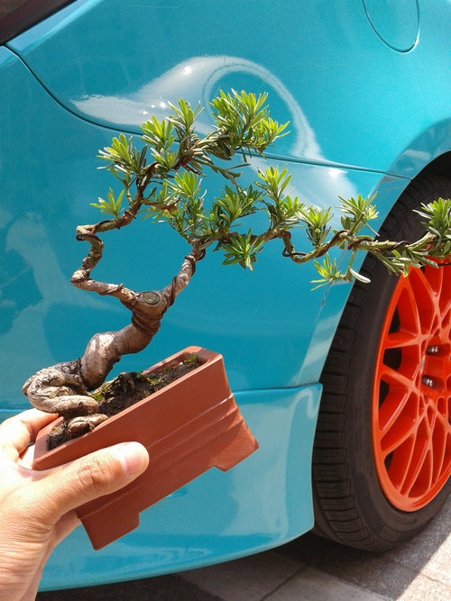 2013-06-06 12.52.47.jpg