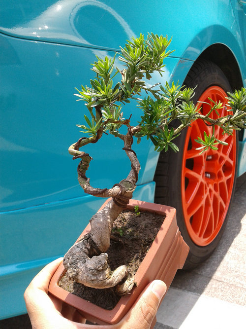 2013-06-06 12.52.59.jpg