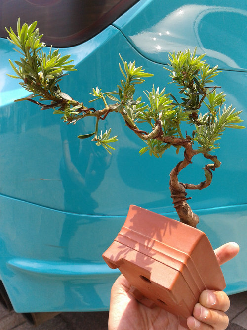 2013-06-06 12.53.21.jpg