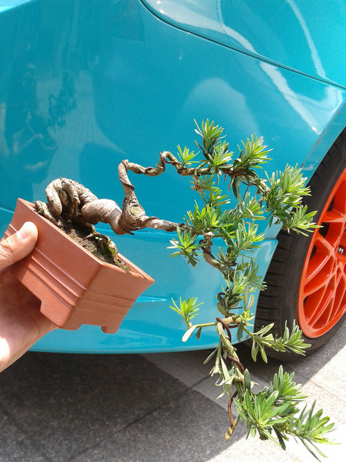 2013-06-06 12.53.41.jpg