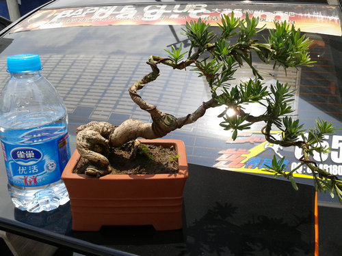 2013-06-06 12.51.55.jpg