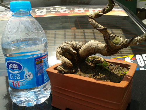 2013-06-06 12.51.25.jpg