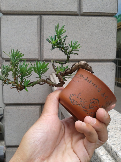 2013-06-06 12.17.59.jpg