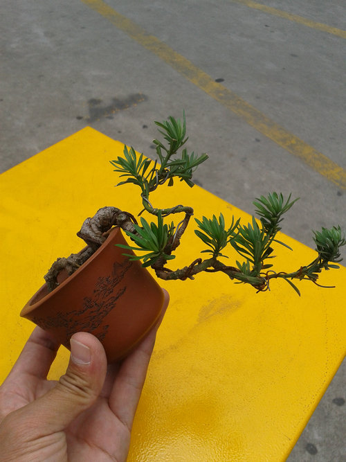 2013-06-06 12.15.07.jpg