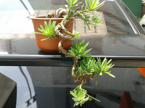 2013-06-06 12.16.08.jpg