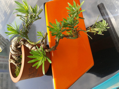 2013-06-06 12.16.27.jpg