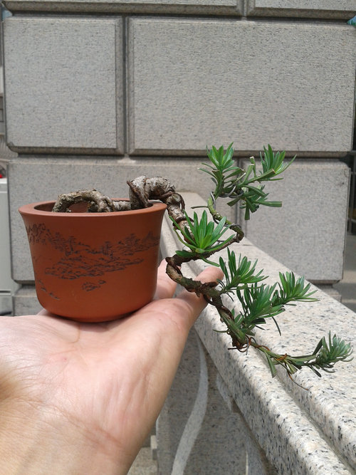 2013-06-06 12.17.28.jpg