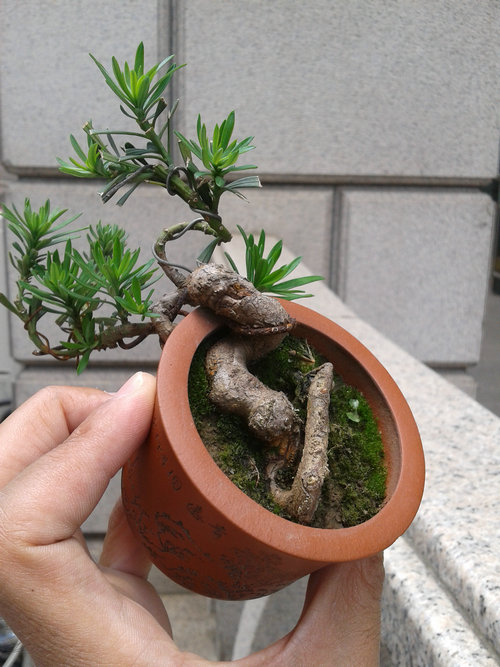 2013-06-06 12.17.44.jpg