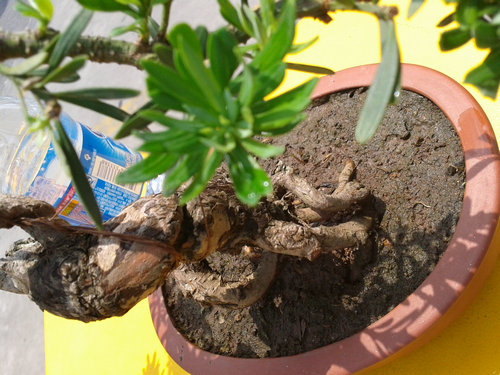 2013-06-06 12.44.57.jpg