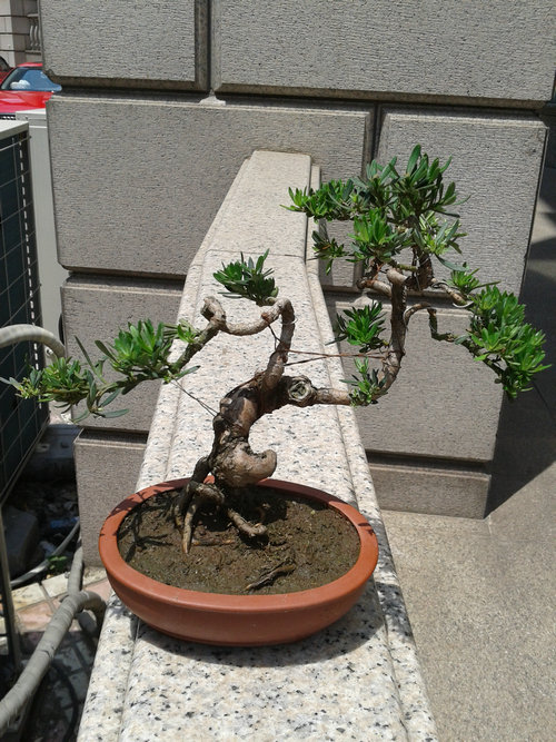 2013-06-06 12.47.34.jpg