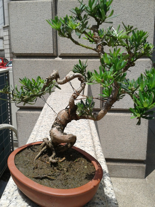 2013-06-06 12.48.07.jpg