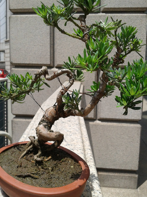 2013-06-06 12.48.23.jpg