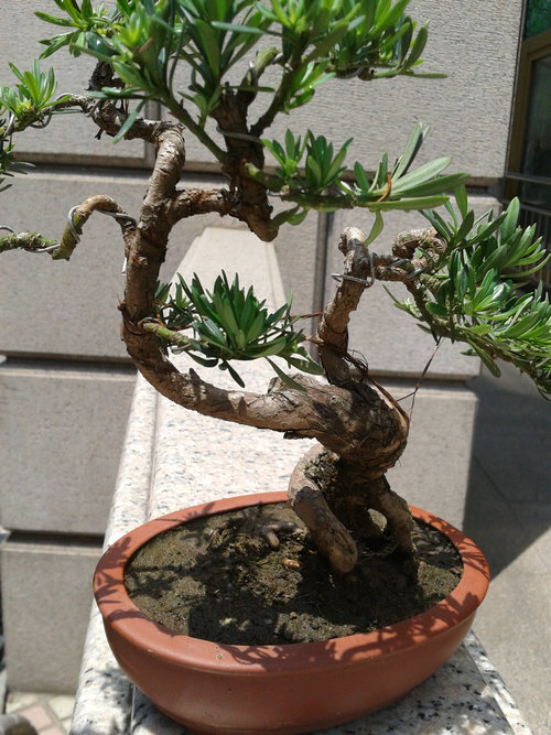 2013-06-06 12.49.13.jpg