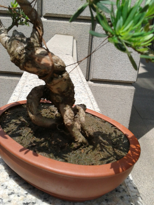 2013-06-06 12.50.02.jpg