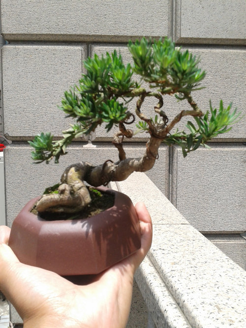 2013-06-06 12.11.28.jpg