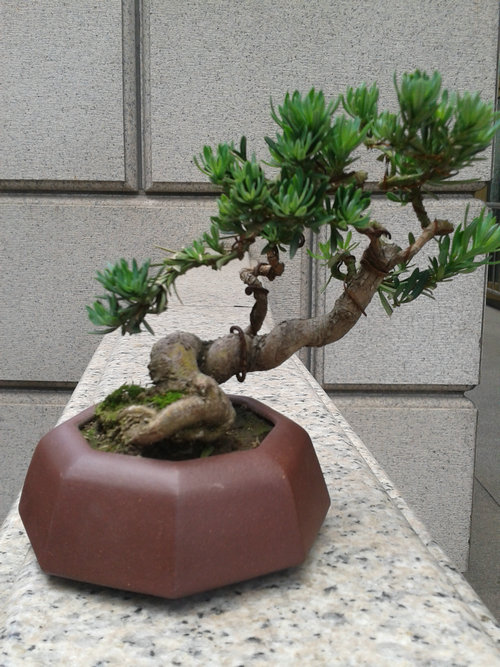 2013-06-06 12.12.11.jpg