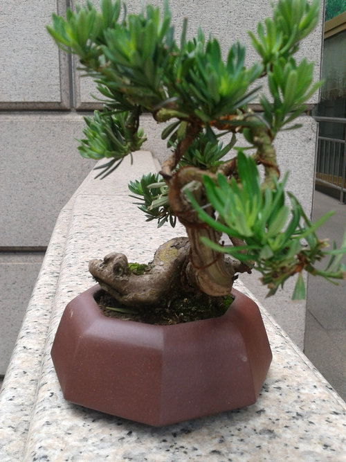 2013-06-06 12.12.33.jpg