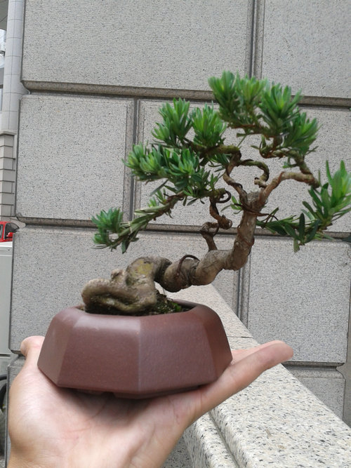 2013-06-06 12.13.18.jpg