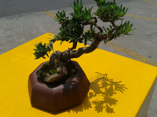 2013-06-06 12.05.07.jpg