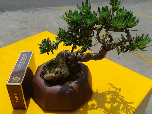 2013-06-06 12.06.14.jpg