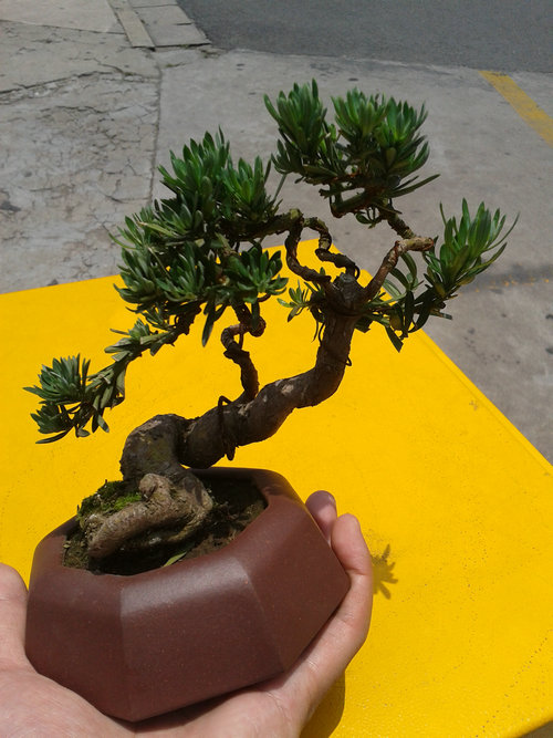 2013-06-06 12.07.30.jpg