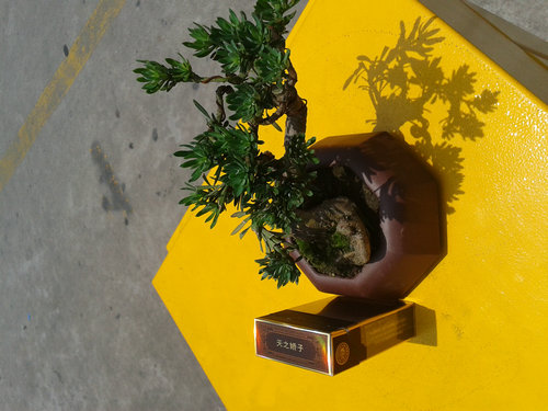 2013-06-06 12.07.03.jpg