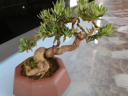 2013-06-06 12.09.41.jpg