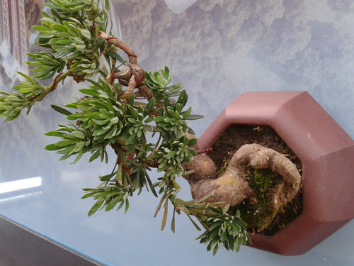 2013-06-06 12.09.59.jpg