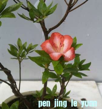 20130606306.jpg